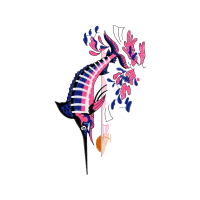 Drawing Animals Drawing Animals