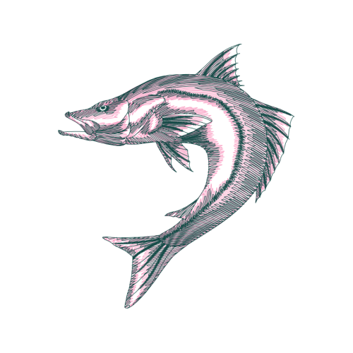 Drawing Animals Drawing Animals