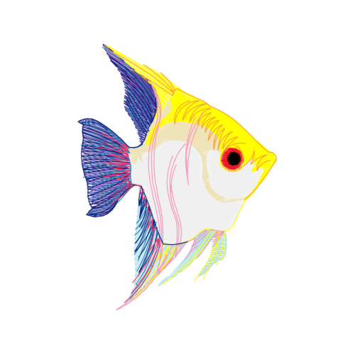 Drawing Animals Drawing Animals