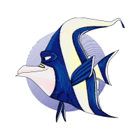 Drawing Animals Drawing Animals