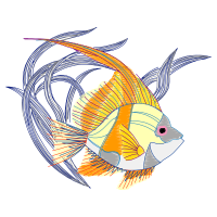 Drawing Animals Drawing Animals