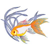 Drawing Animals Drawing Animals