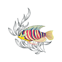 Drawing Animals Drawing Animals