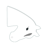 Drawing Animals Drawing Animals