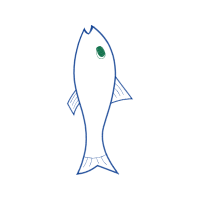 Drawing Animals Drawing Animals