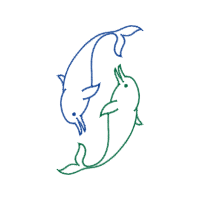 Drawing Animals Drawing Animals