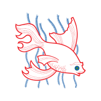 Drawing Animals Drawing Animals