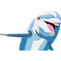 Drawing Animals Drawing Animals