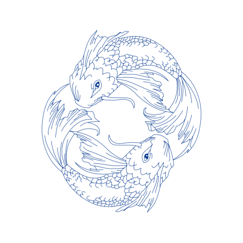 Drawing Animals Drawing Animals