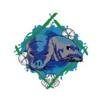 Drawing Animals Drawing Animals