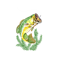 Drawing Animals Drawing Animals