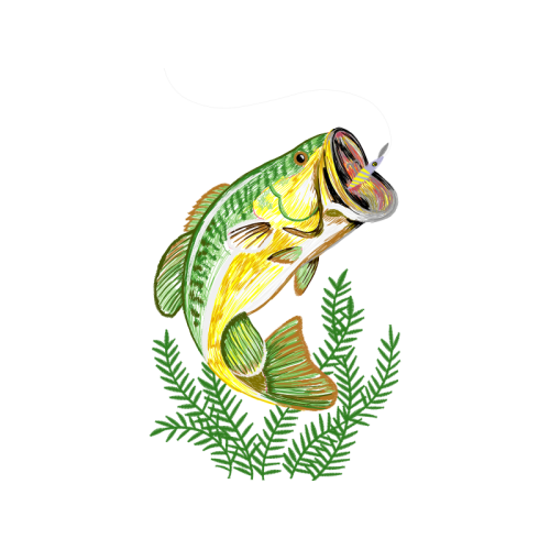 Drawing Animals Drawing Animals