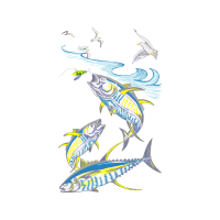 Drawing Animals Drawing Animals