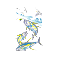 Drawing Animals Drawing Animals