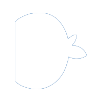 Drawing Animals Drawing Animals