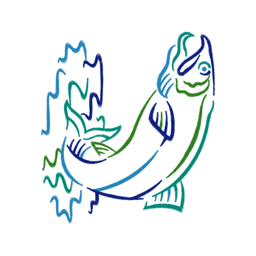 Drawing Animals Drawing Animals