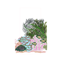 Drawing Animals Drawing Animals