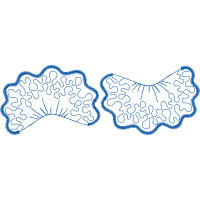 Drawing Animals Drawing Animals