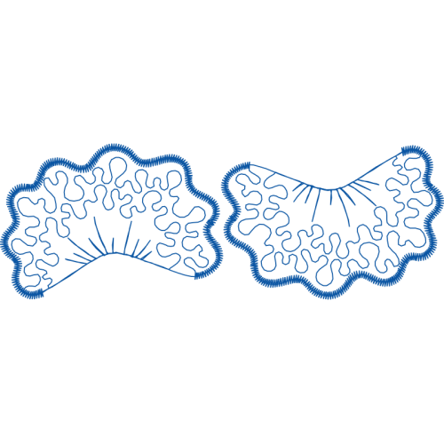 Drawing Animals Drawing Animals