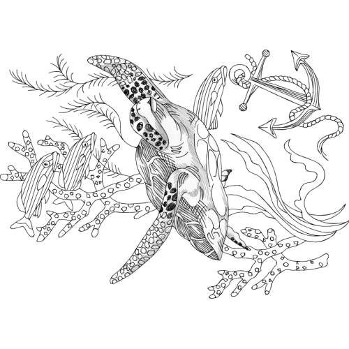 Drawing Animals Drawing Animals