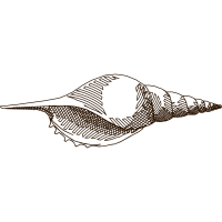 Drawing Animals Drawing Animals