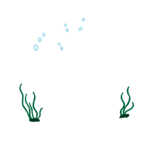 Drawing Animals Drawing Animals