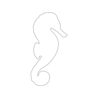 Drawing Animals Drawing Animals