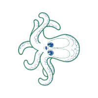 Drawing Animals Drawing Animals