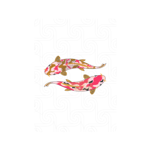 Drawing Animals Drawing Animals