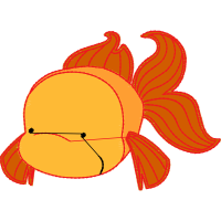 Drawing Animals Drawing Animals