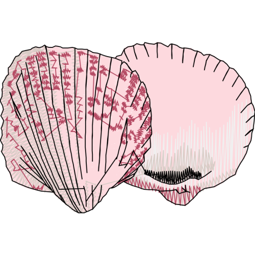 Drawing Animals Drawing Animals