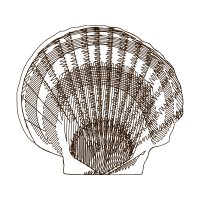 Drawing Animals Drawing Animals