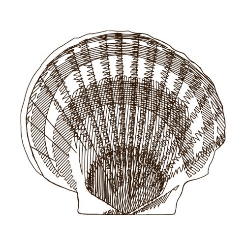 Drawing Animals Drawing Animals