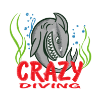 Drawing Animals Drawing Animals