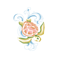 Drawing Animals Drawing Animals