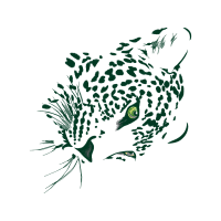 Drawing Animals Drawing Animals