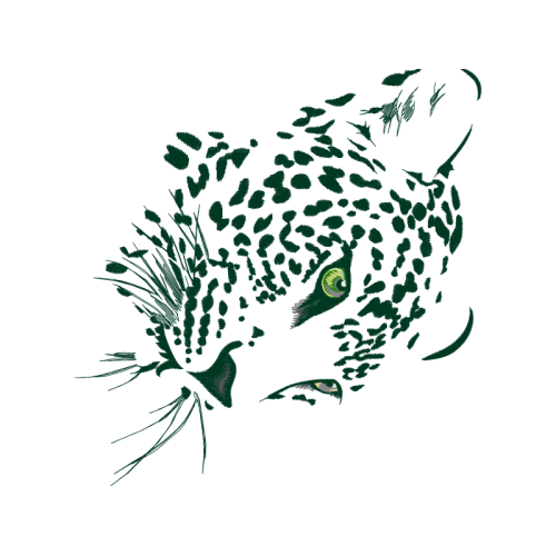 Drawing Animals Drawing Animals