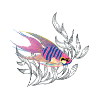 Drawing Animals Drawing Animals