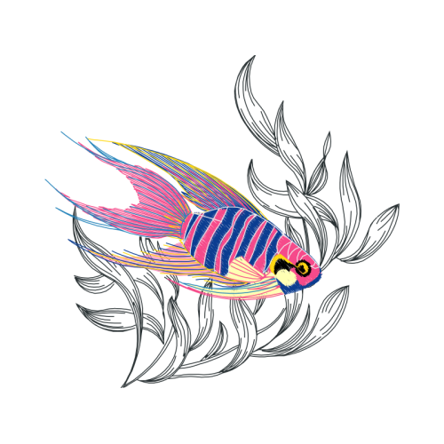 Drawing Animals Drawing Animals