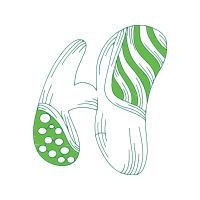 Drawing Animals Drawing Animals