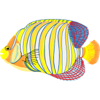 Drawing Animals Drawing Animals