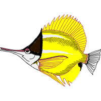 Drawing Animals Drawing Animals