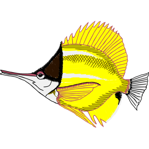 Drawing Animals Drawing Animals