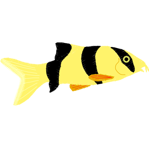 Drawing Animals Drawing Animals