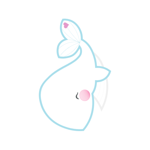 Drawing Animals Drawing Animals