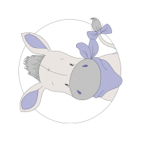 Drawing Animals Drawing Animals