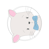 Drawing Animals Drawing Animals