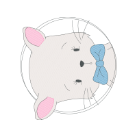 Drawing Animals Drawing Animals