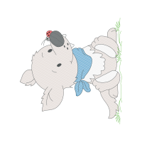 Drawing Animals Drawing Animals