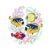 Drawing Animals Drawing Animals